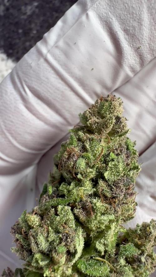 [TPB] Banana Purple Punch [Auto] [Auto]