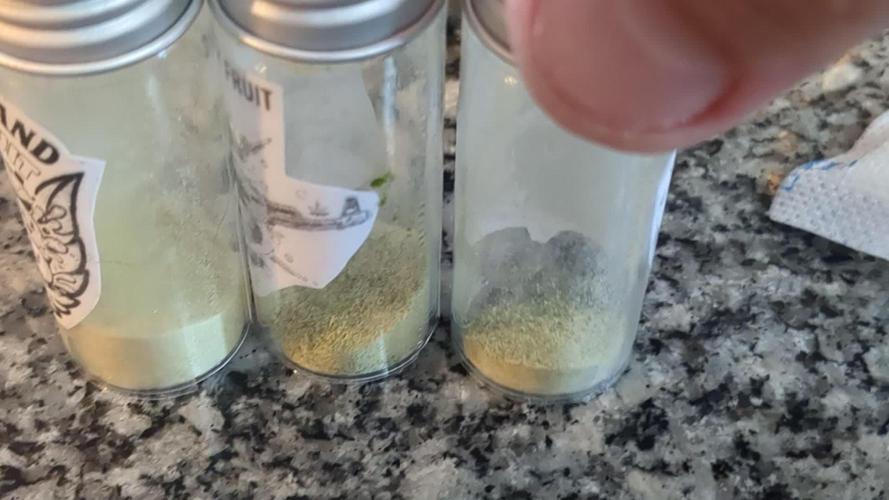 First grow from Bagseed inspiration