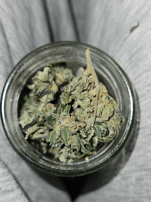 Cherry Limeade 2.. Week 23