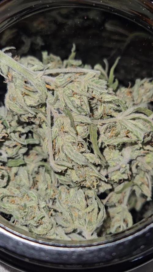 2. Big Bang Auto