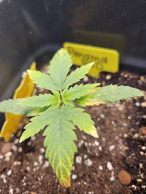 Inside_growlab