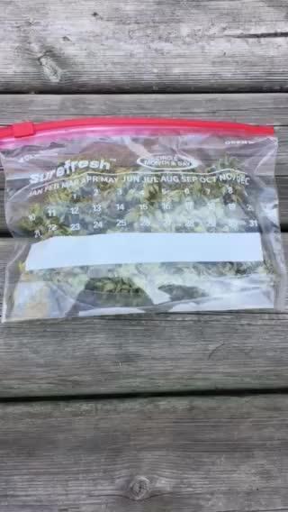 FBA Gorilla Cookies Outdoor