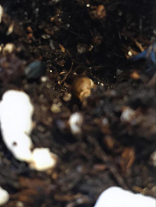 Winter Outdoor 2/28/26. Week 0