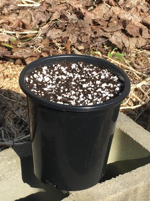 Winter Outdoor 2/28/26. Week 0