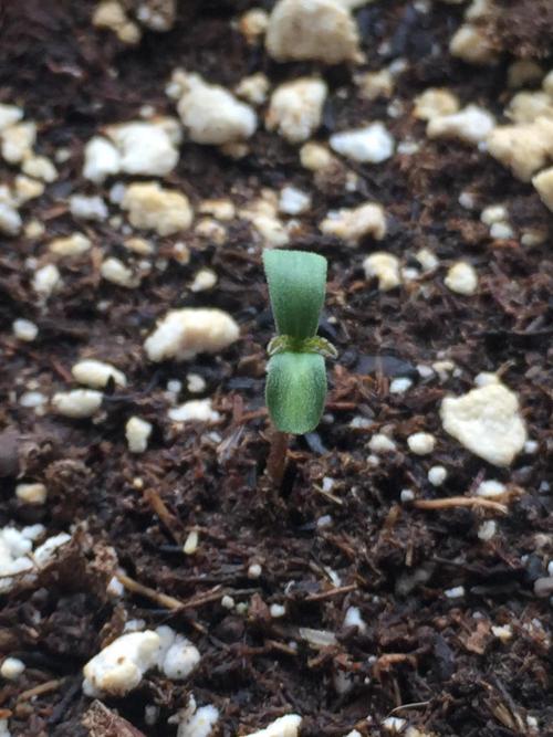 Winter Outdoor 2/28/26. Week 1 - DAY 1