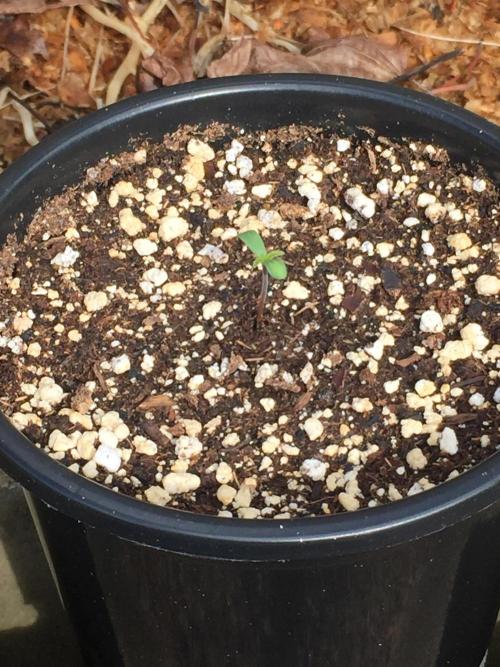 Winter Outdoor 2/28/26. Week 1 - DAY 2