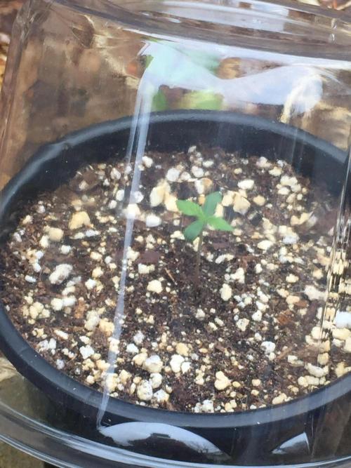 Winter Outdoor 2/28/26. Week 1 - DAY 4