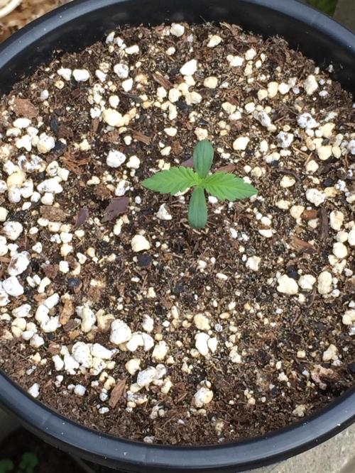 Winter Outdoor 2/28/26. Week 1 - DAY 5