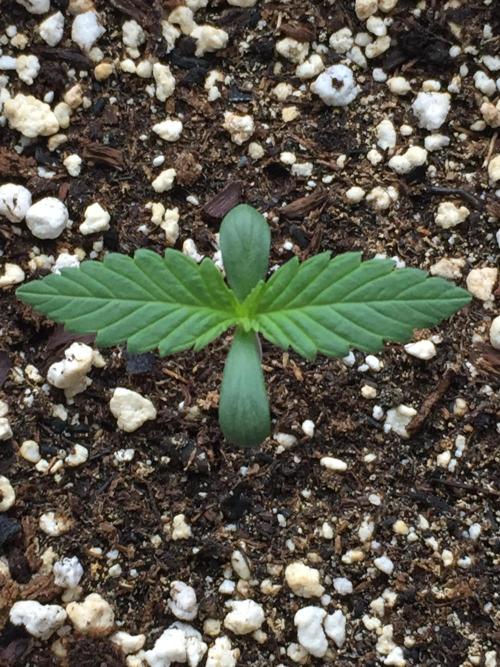 Winter Outdoor 2/28/26. Week 1 - DAY 7