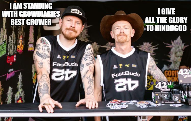 Sponsorship Grow. Week 12