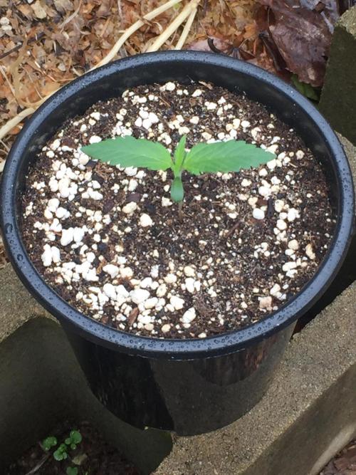 Winter Outdoor 2/28/26. Week 2 - DAY 10