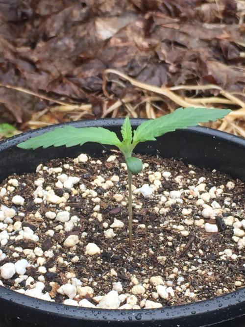 Winter Outdoor 2/28/26. Week 2 - DAY 10