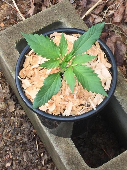 Winter Outdoor 2/28/26. Week 3 - DAY 18