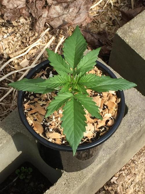 Winter Outdoor 2/28/26. Week 3 - DAY 21