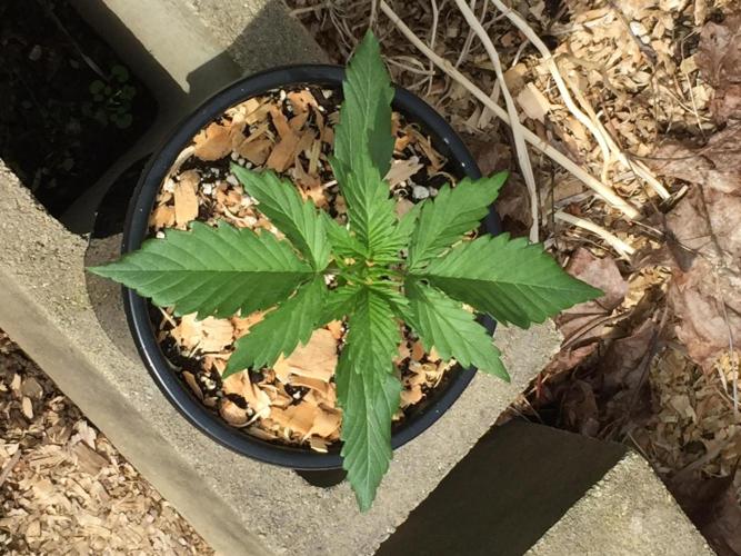 Winter Outdoor 2/28/26. Week 3 - DAY 21