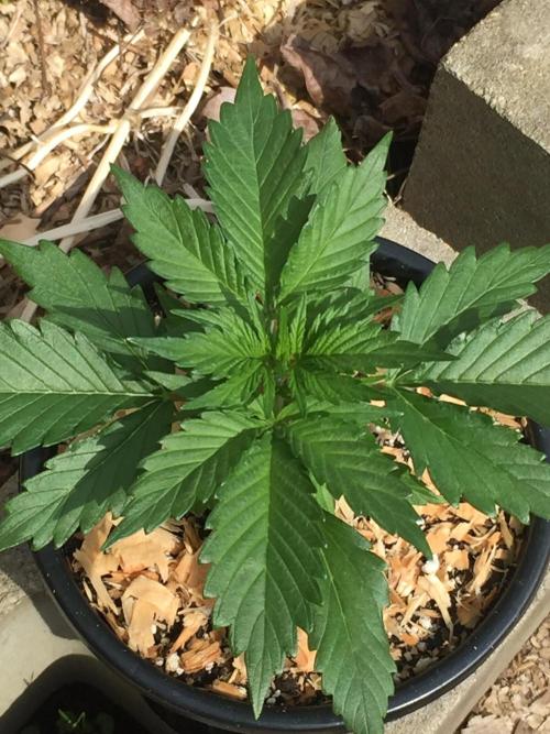 Winter Outdoor 2/28/26. Week 4 - DAY 25