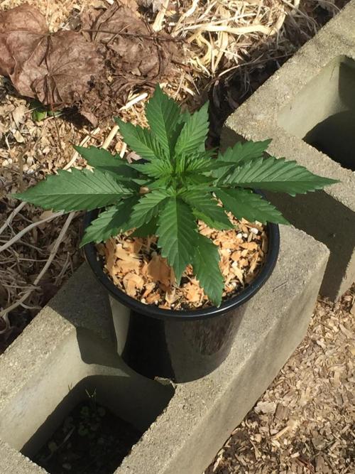 Winter Outdoor 2/28/26. Week 4 - DAY 25