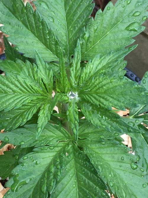 Winter Outdoor 2/28/26. Week 4 - DAY 26