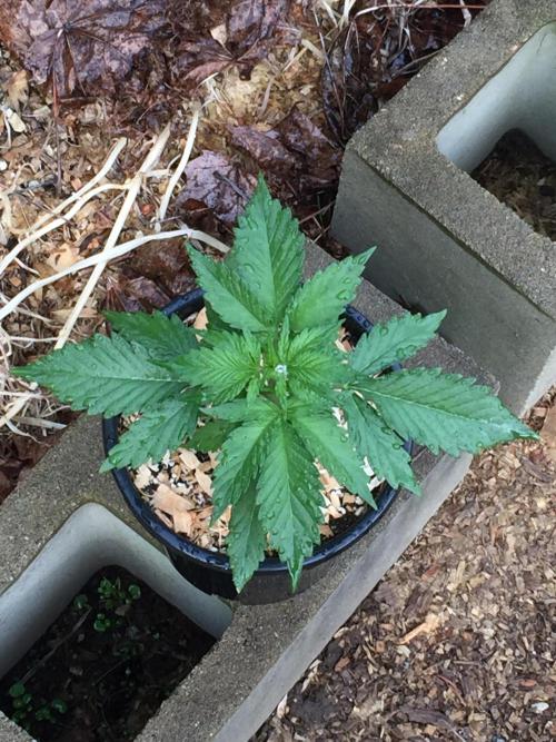 Winter Outdoor 2/28/26. Week 4 - DAY 26