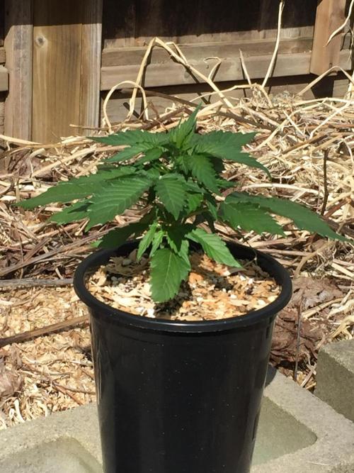 Winter Outdoor 2/28/26. Week 4 - DAY 28