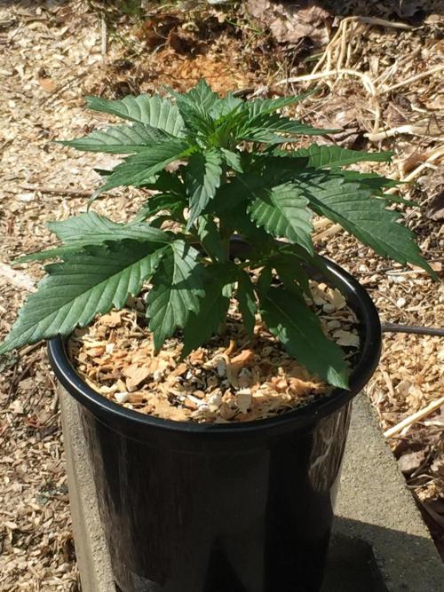 Winter Outdoor 2/28/26. Week 4 - DAY 28