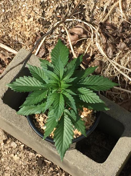 Winter Outdoor 2/28/26. Week 4 - DAY 28