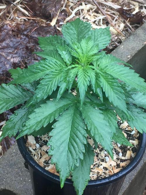 Winter Outdoor 2/28/26. Week 5 - DAY 30