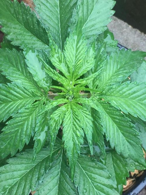 Winter Outdoor 2/28/26. Week 5 - DAY 30