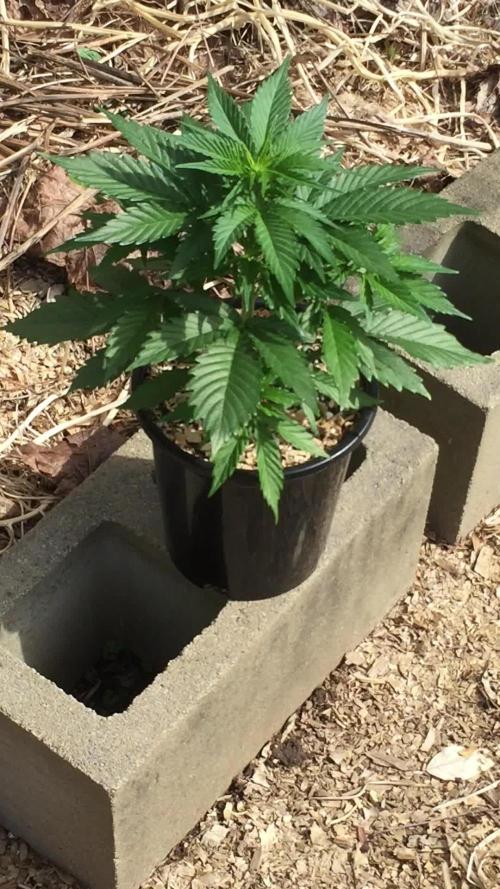 Winter Outdoor 2/28/26