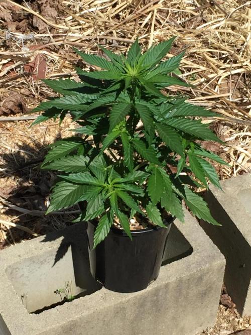 Winter Outdoor 2/28/26. Week 6 - DAY 38