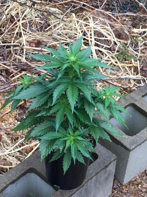 Winter Outdoor 2/28/26. Week 6 - DAY 40
