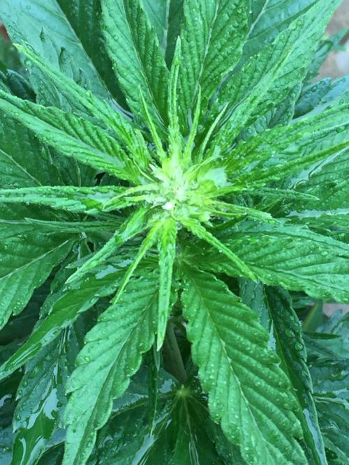 Winter Outdoor 2/28/26. Week 6 - DAY 40
