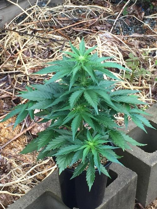 Winter Outdoor 2/28/26. Week 6 - DAY 42