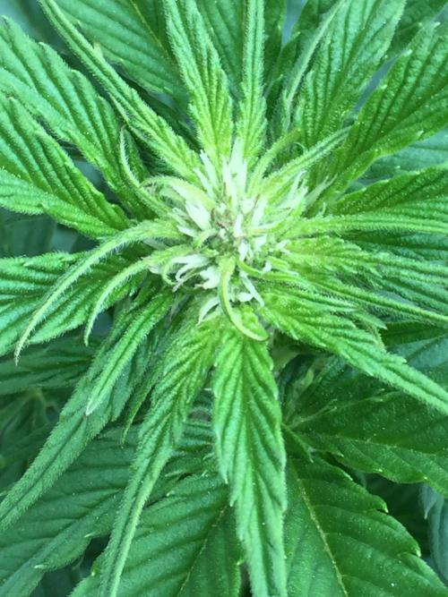 Winter Outdoor 2/28/26. Week 6 - DAY 42