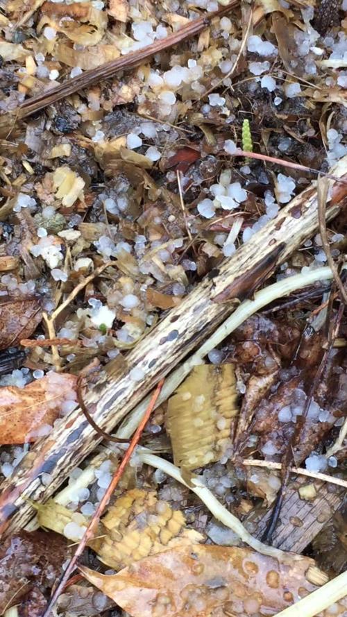 Winter Outdoor 2/28/26