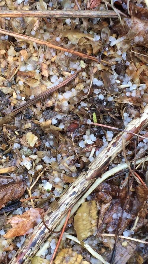 Winter Outdoor 2/28/26