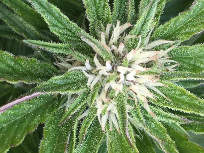 Winter Outdoor 2/28/26. Week 7 - DAY 49