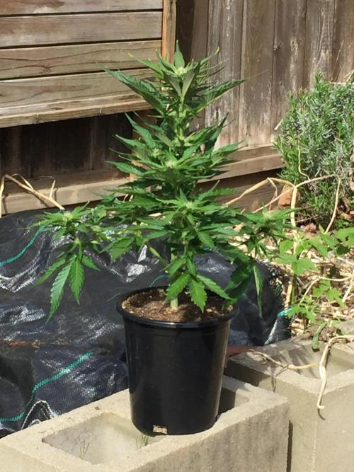 Winter Outdoor 2/28/26. Week 7 - DAY 49