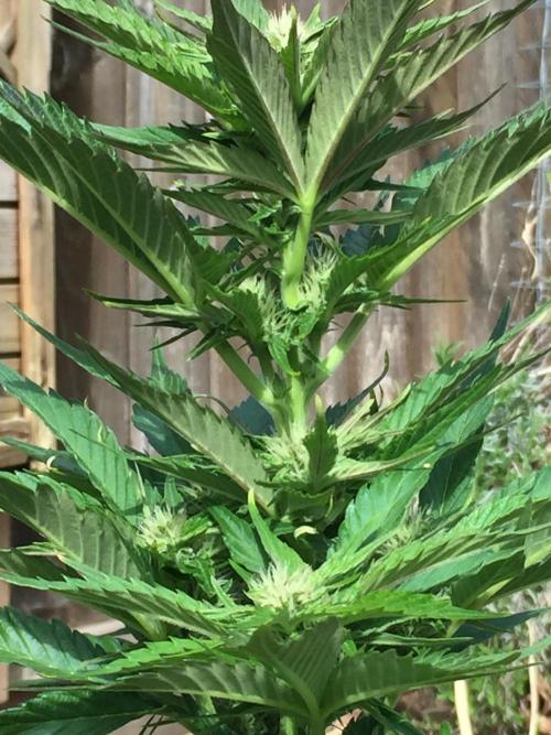 Winter Outdoor 2/28/26. Week 7 - DAY 49