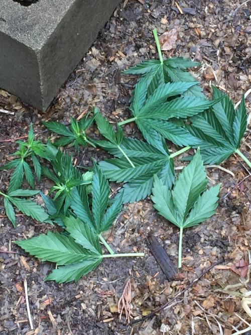 Winter Outdoor 2/28/26. Week 7 - DAY 43