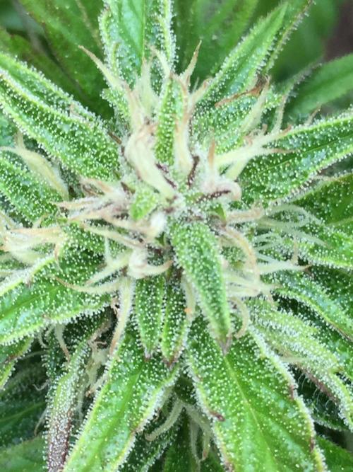 Winter Outdoor 2/28/26. Week 8 - DAY 56