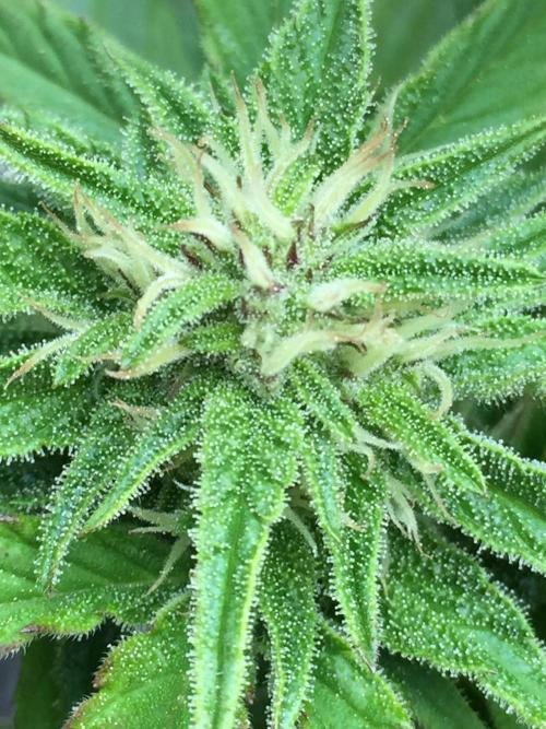 Winter Outdoor 2/28/26. Week 8 - DAY 56