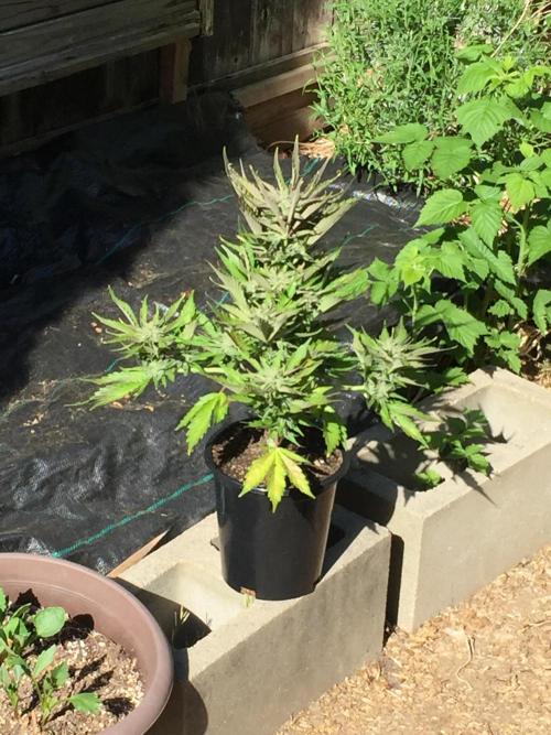 Winter Outdoor 2/28/26. Week 9 - DAY 63