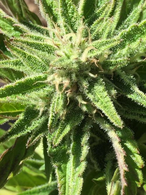 Winter Outdoor 2/28/26. Week 9 - DAY 63
