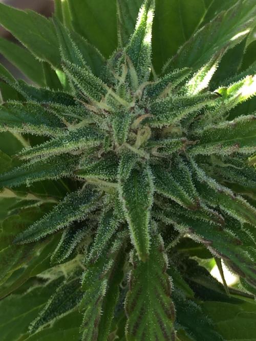 Winter Outdoor 2/28/26. Week 9 - DAY 63
