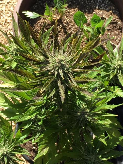 Winter Outdoor 2/28/26. Week 9 - DAY 63