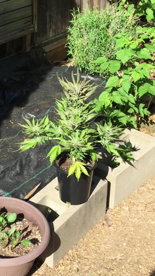 Winter Outdoor 2/28/26