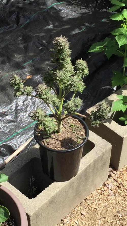 Winter Outdoor 2/28/26