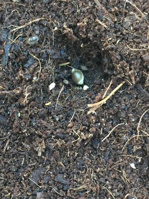 Outdoor 6/17/26. Week 0