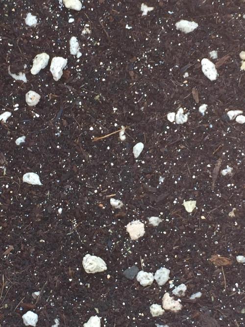 Outdoor 6/17/26. Week 0